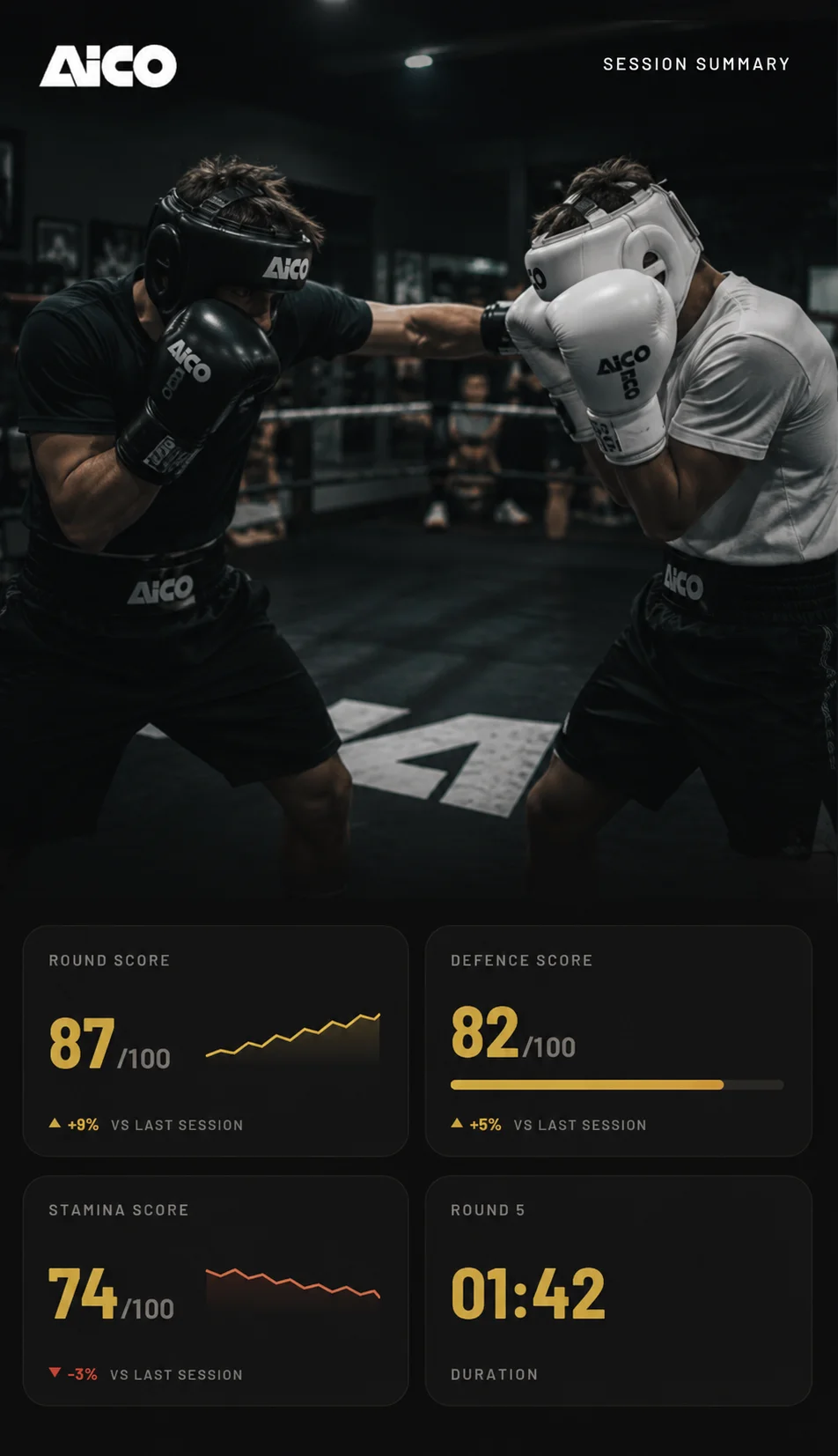 Boxer in a sparring session